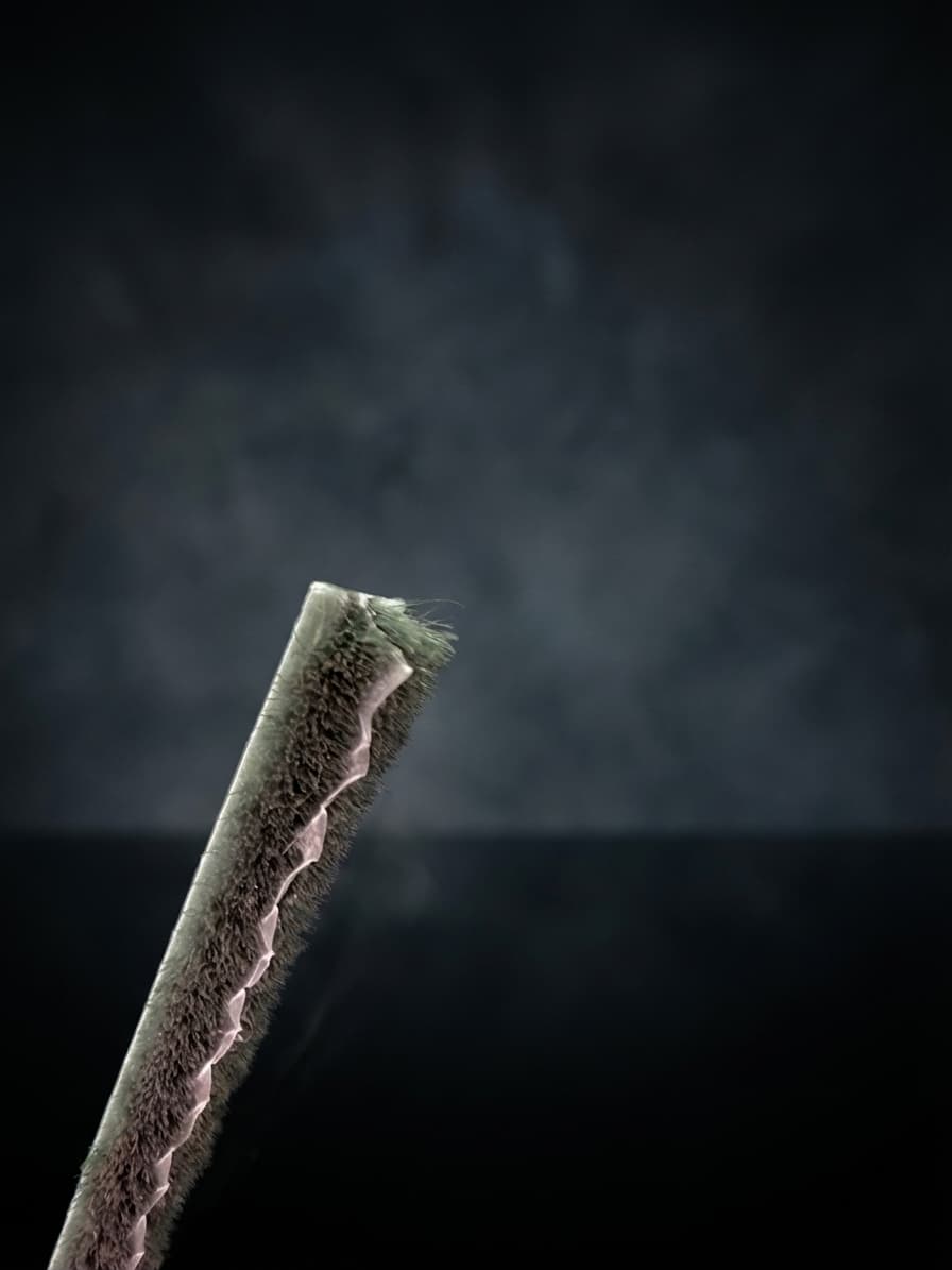 Brush membrane seal with fin and dense pile bristles on dark studio background